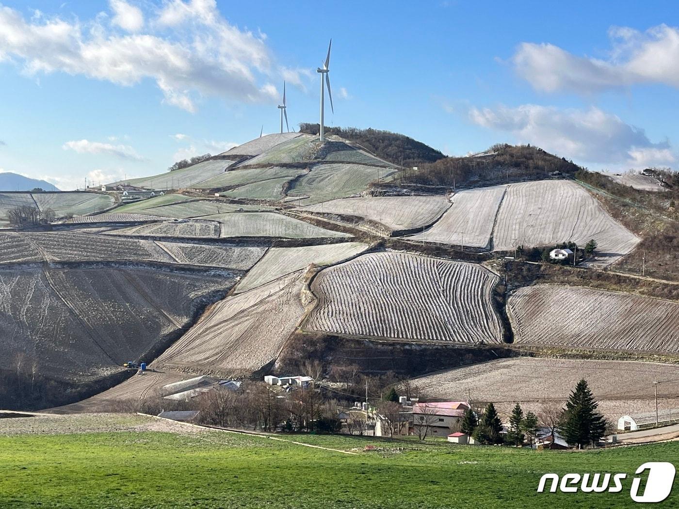 본문 이미지 - 강릉 안반데기에 내려앉은 눈.(뉴스1 DB) ⓒ News1 윤왕근 기자