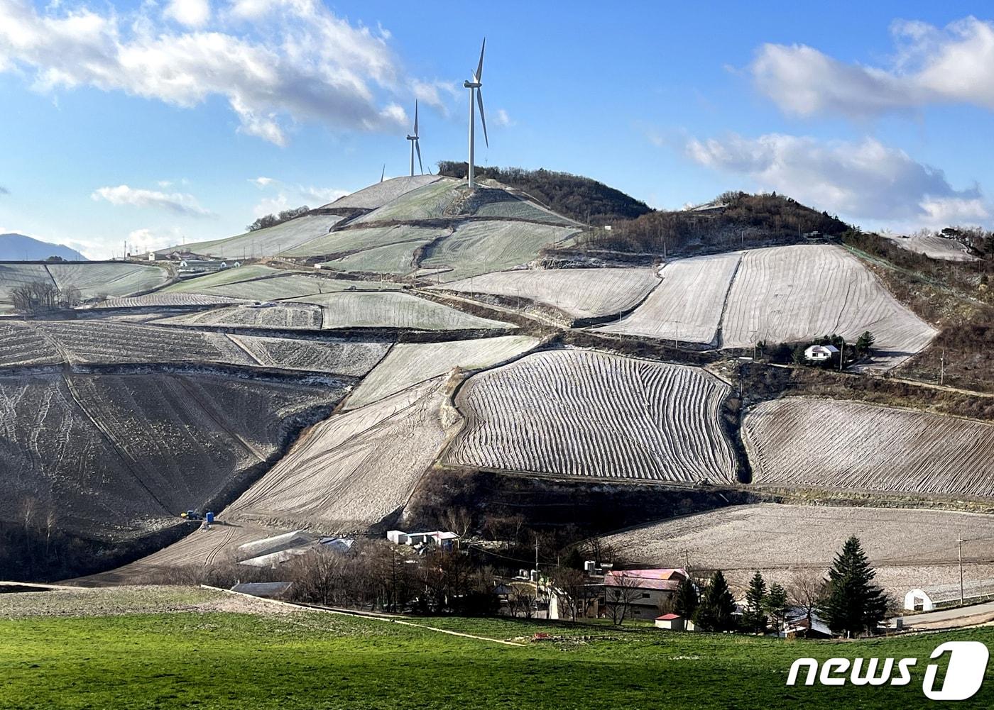 본문 이미지 - 강릉시 왕산면 안반데기 마을에 내린 서리.&#40;뉴스1 DB&#41; ⓒ News1 윤왕근 기자