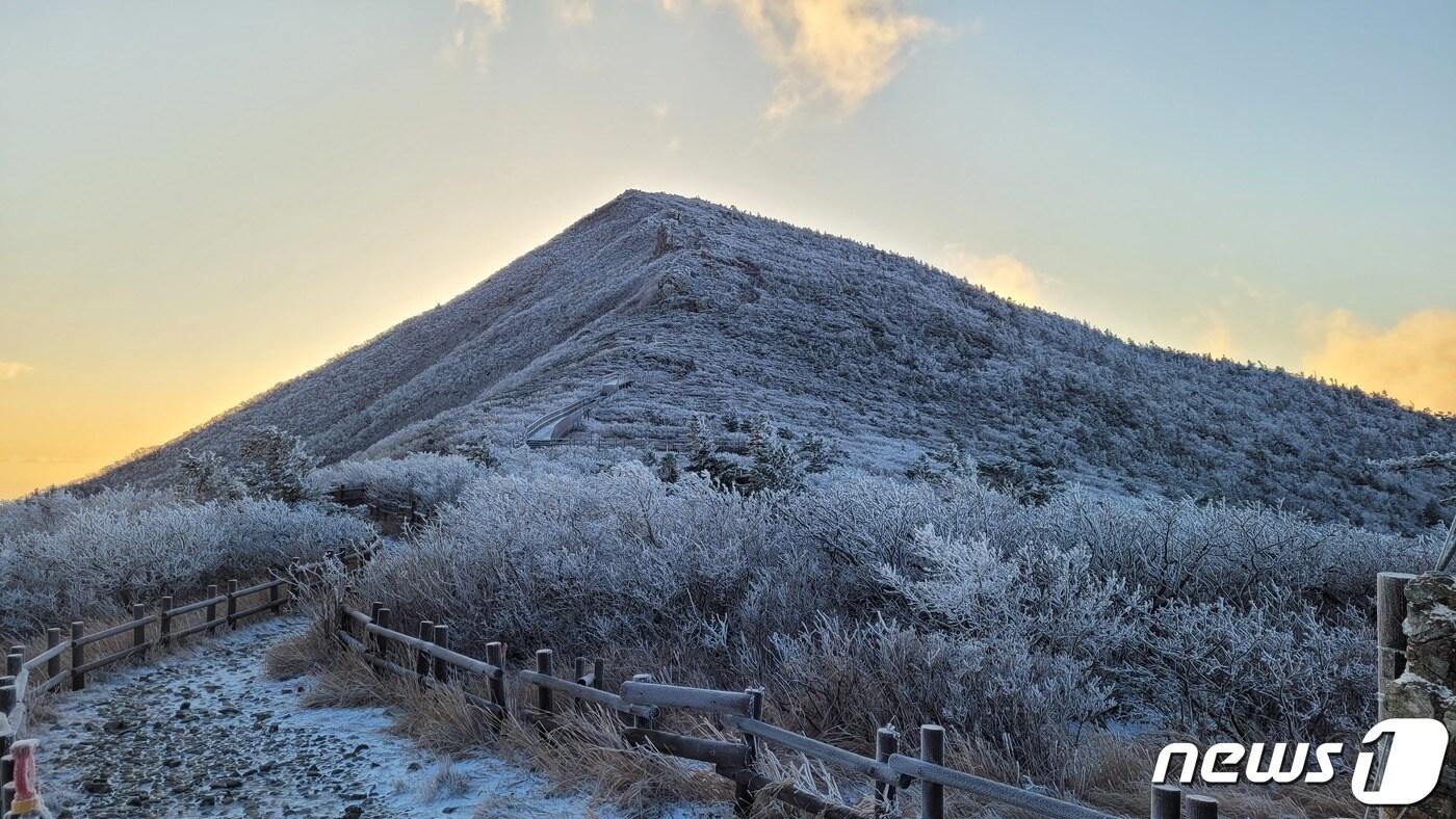 강원 산지를 중심으로 한파특보가 발효된 7일 설악산 고지대에 피어난 상고대가 탐방객의 시선을 끌고 있다. (설악산국립공원사무소 제공) 2023.11.7/뉴스1 ⓒ News1 윤왕근 기자