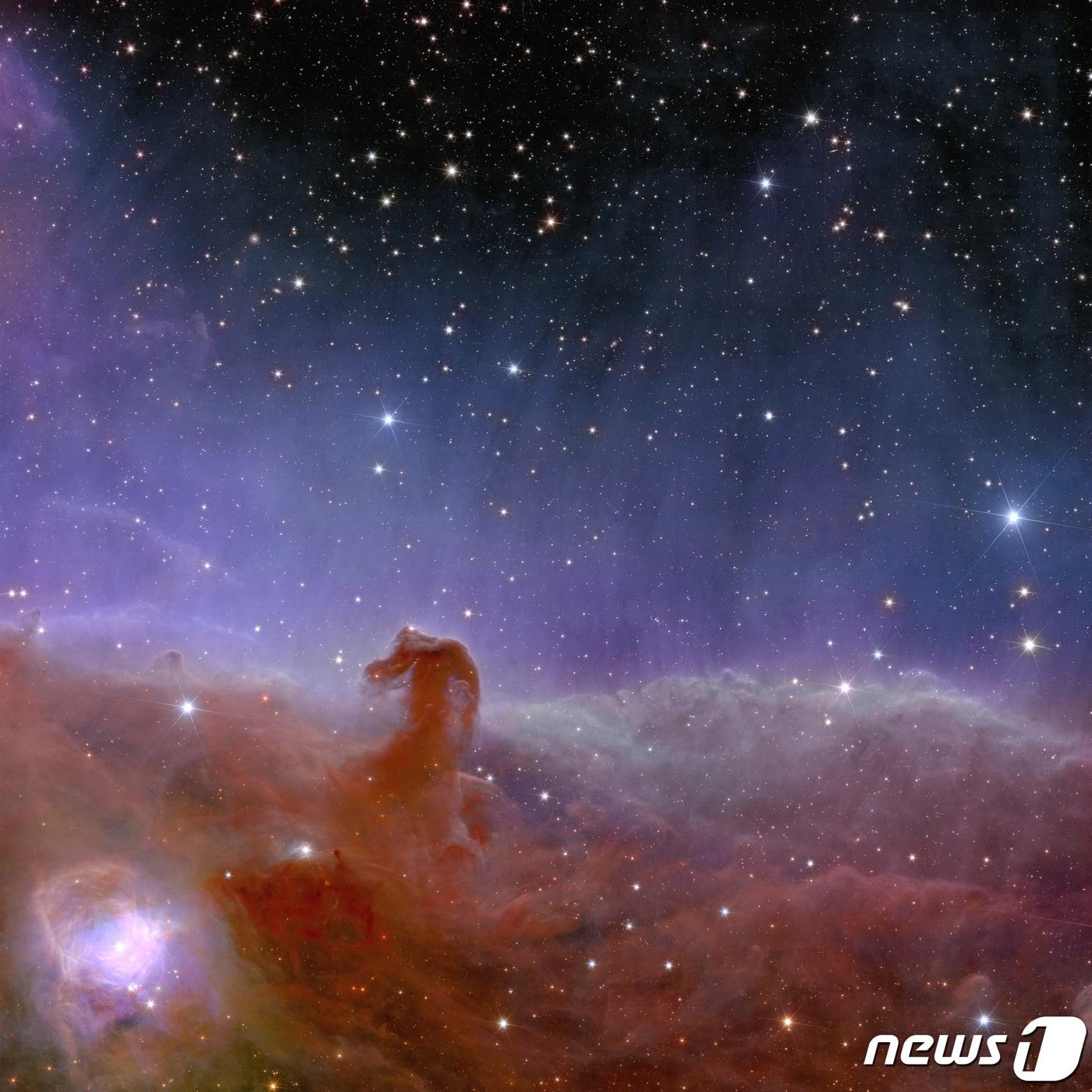 본문 이미지 - 7일(현지시간) 유럽 우주국이 공개한 말머리 성운. 유클리드 우주 망원경으로 촬영했다. 2023.11.07/ ⓒ 로이터=뉴스1 ⓒ News1 권진영 기자