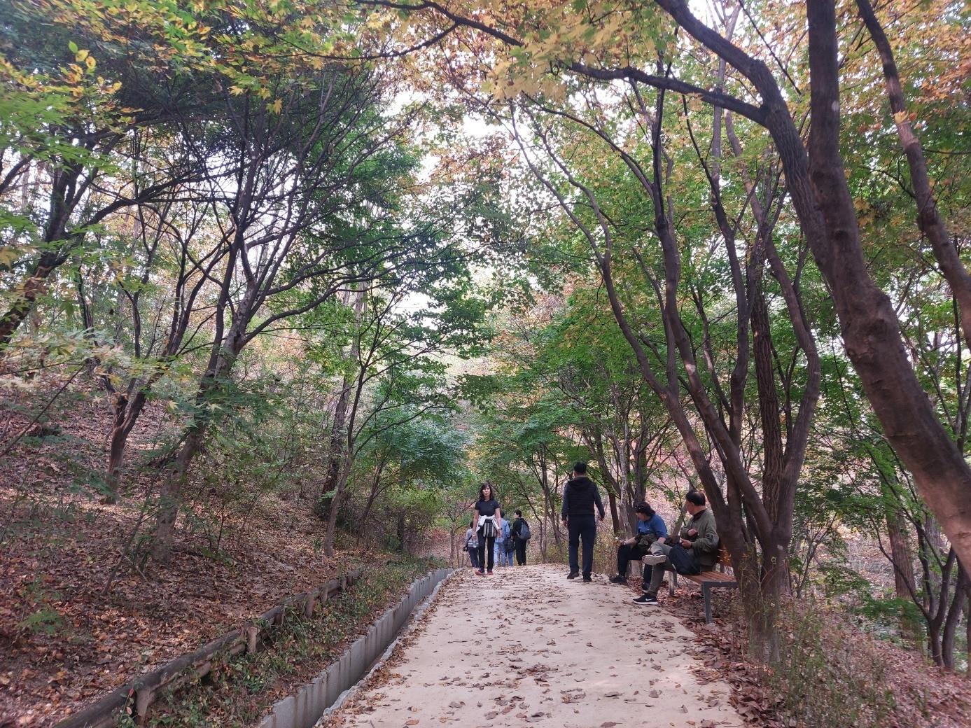 본문 이미지 - 북서울꿈의숲 방문자센터~강북도서관 구간 둘레길. (서울시 제공)