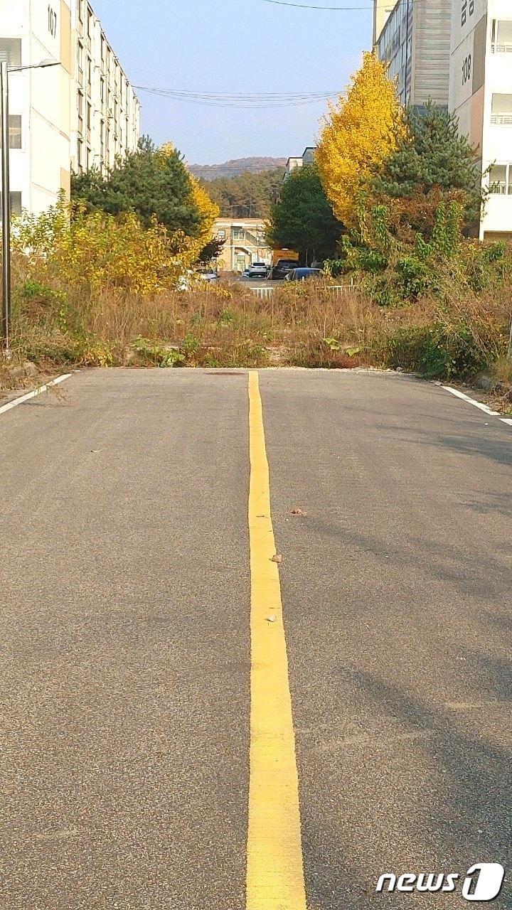 본문 이미지 - 충북 영동군 영동읍 설계리 일원에 개설한 군 계획도로 일부 구간이 끊긴 채 수년째 방치되고 있다. /뉴스1 