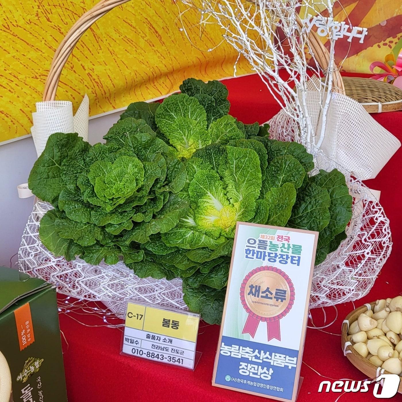 본문 이미지 - 진도봄동(진도군 제공)/뉴스1 