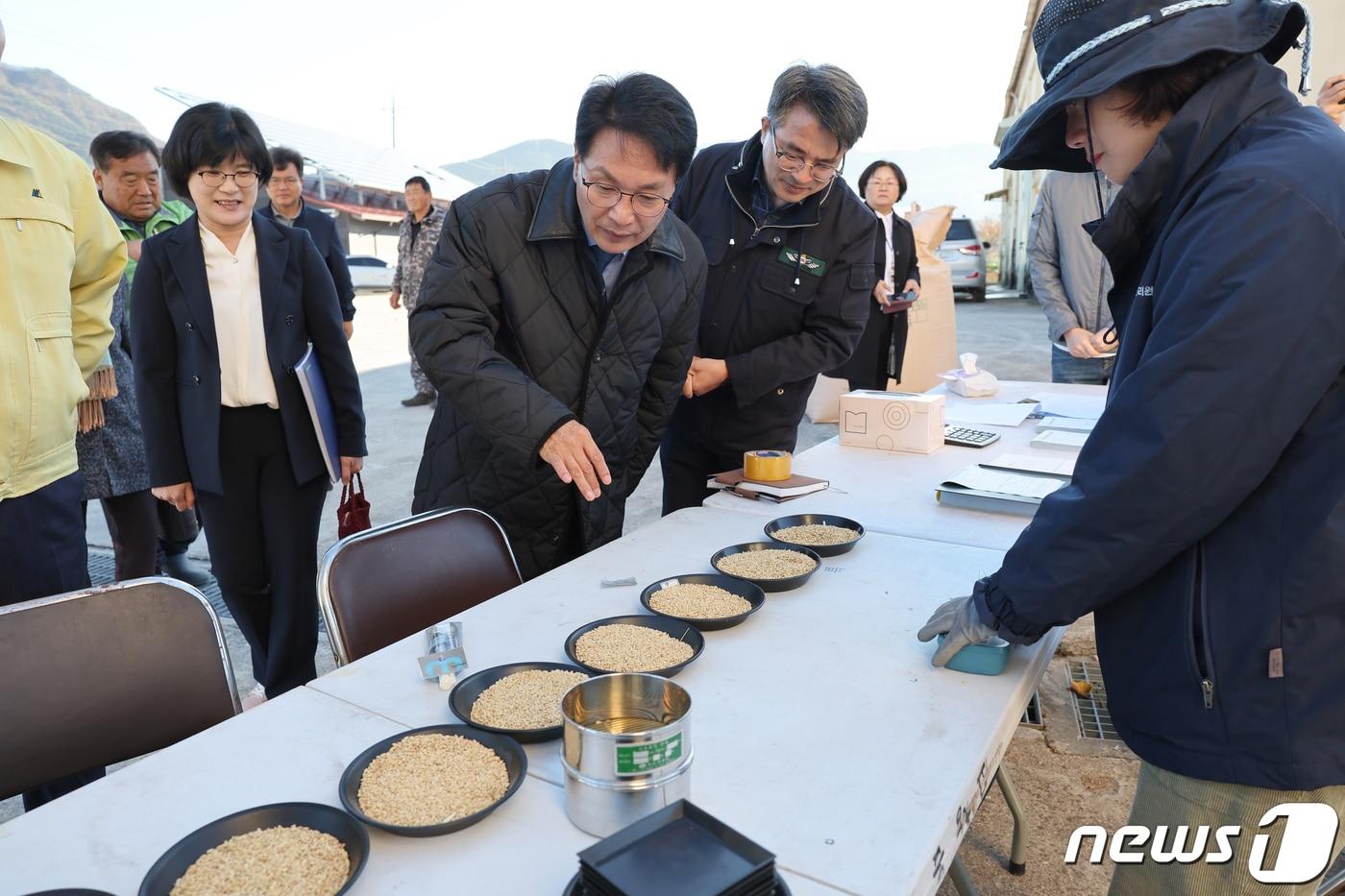 본문 이미지 -  심덕섭 전북 고창군수가 8일 공공비축미곡 건조벼 수매현장(고창읍 월산창고)을 방문해 농업인들의 의견을 청취하고 격려했다. 고창군은 올해  총 8155톤의 공공비축미를 매입한다. 
