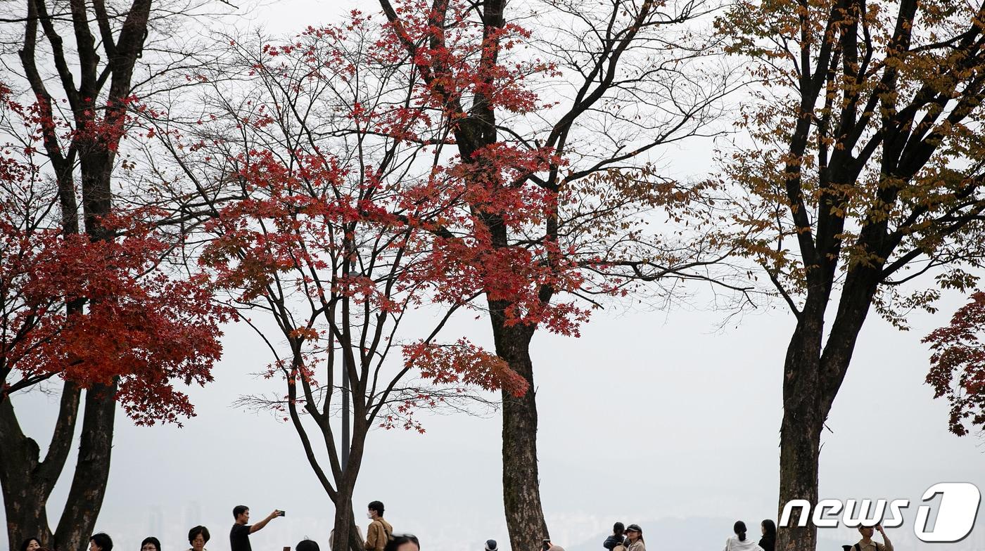 자료사진/뉴스1