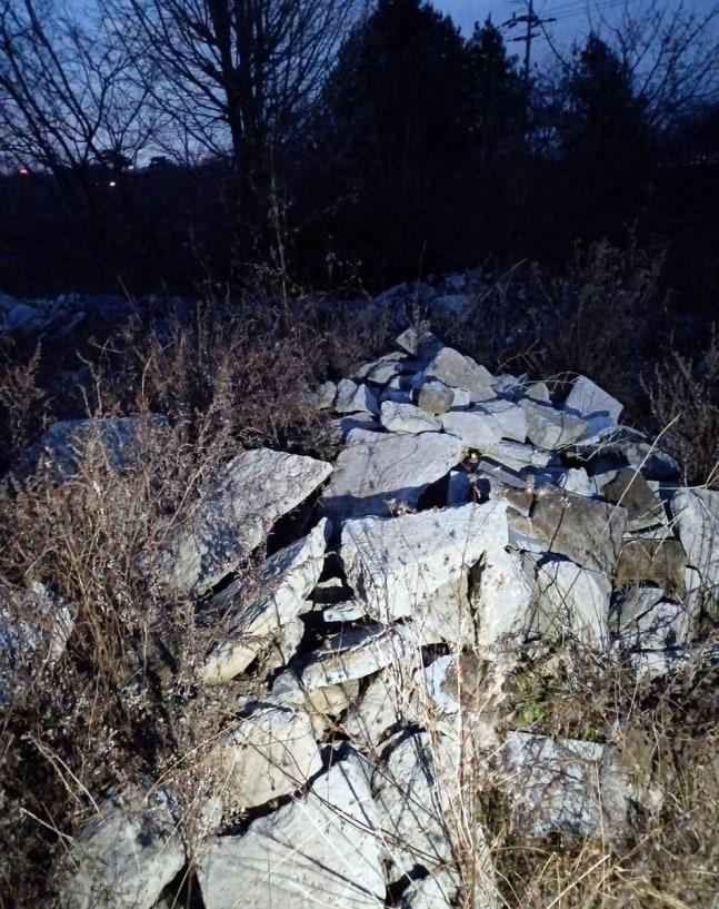 본문 이미지 - 세종동 월산1리 보호수 (180년 된 팽나무) 인근에 버려진 건설폐기물. (이순열 세종시의회의장 제공) / 뉴스1