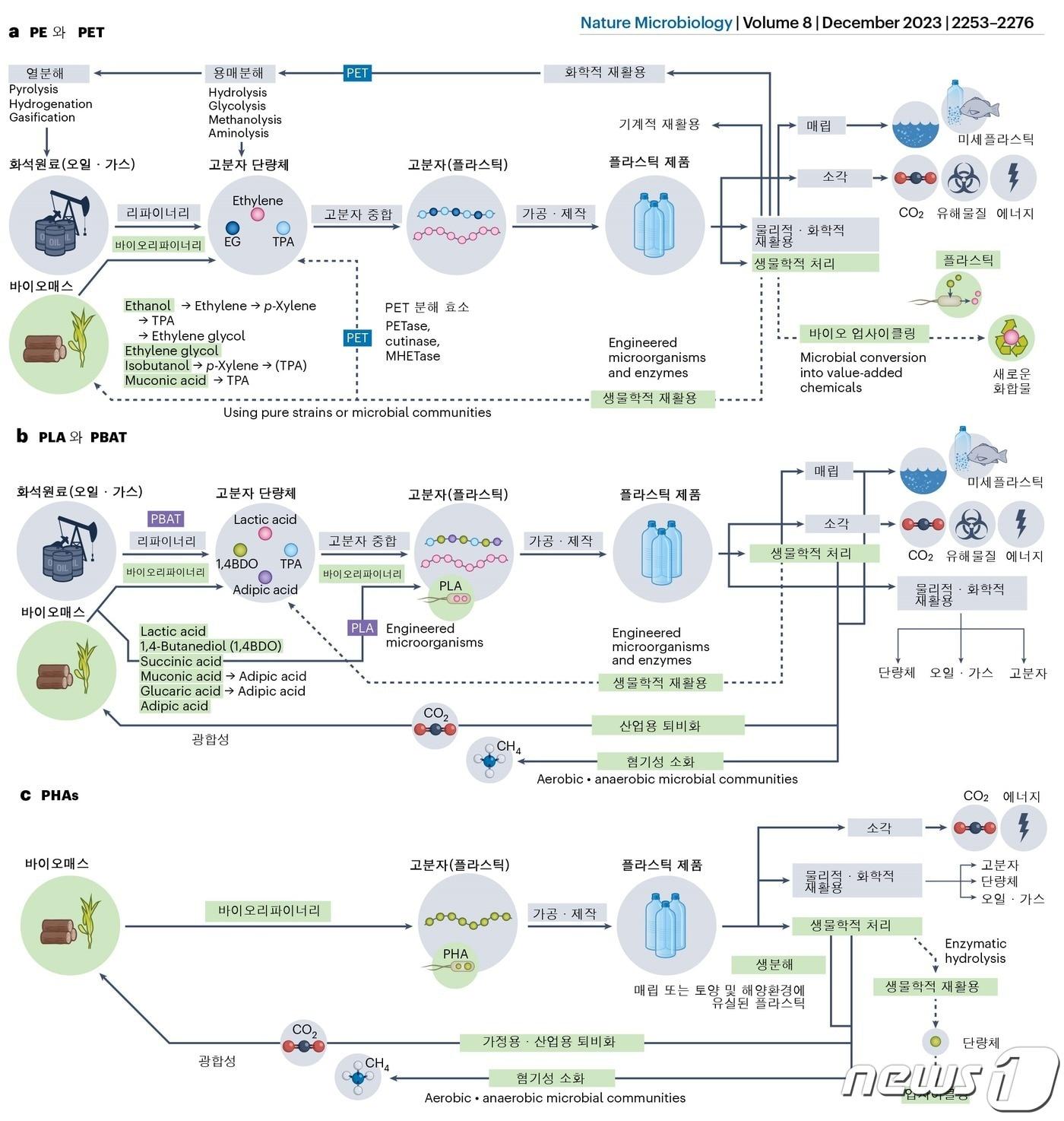 본문 이미지 - 미생물 활용 기술을 포함한 플라스틱 라이프 사이클.(KAIST 제공)/뉴스1