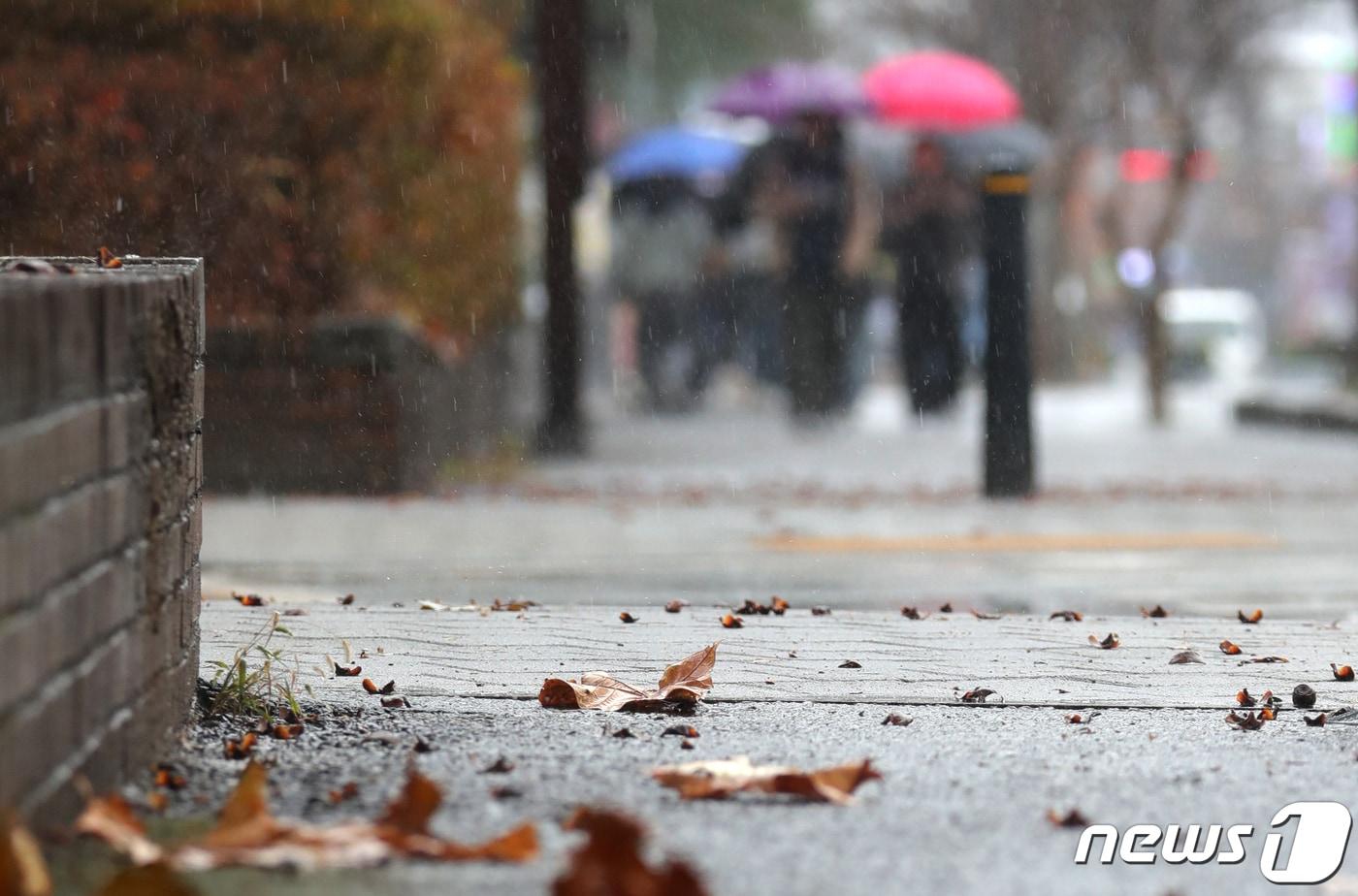 겨울비가 내리는 전북대 캠퍼스/뉴스1 유경석 기자