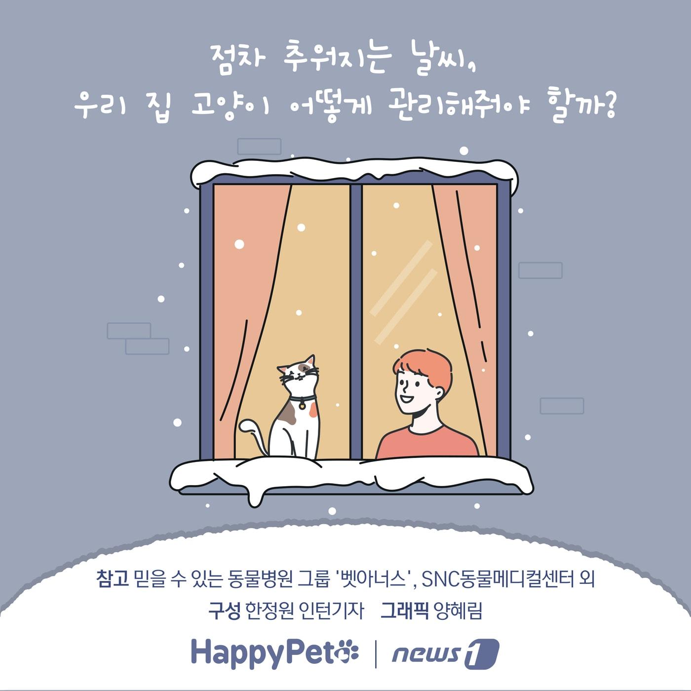 본문 이미지 - 겨울철 고양이 관리법 펫카드