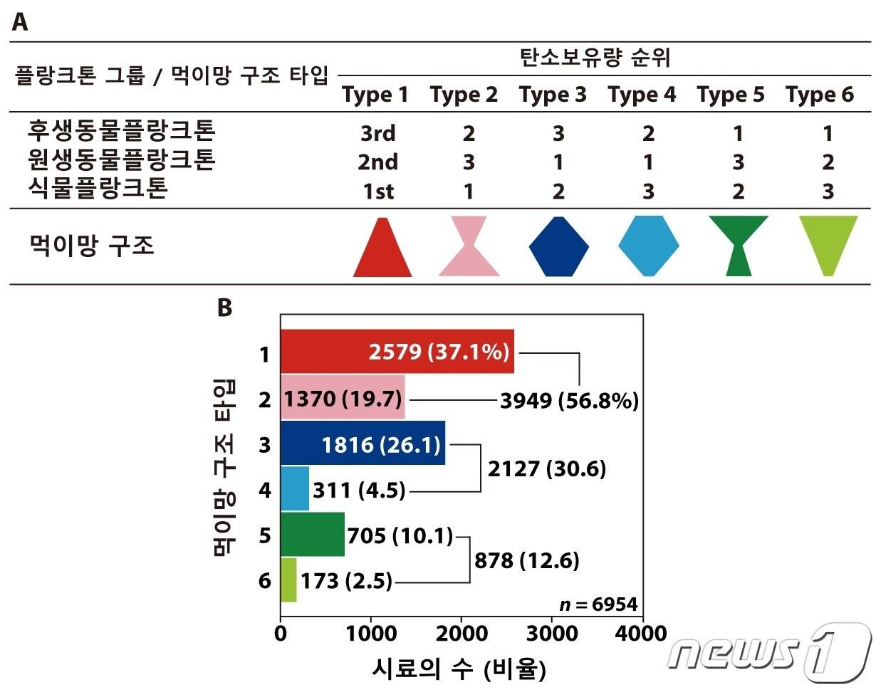 본문 이미지 - 탄소량 기준 전 세계 해양의 먹이망 구조. (서울대 제공)/뉴스1