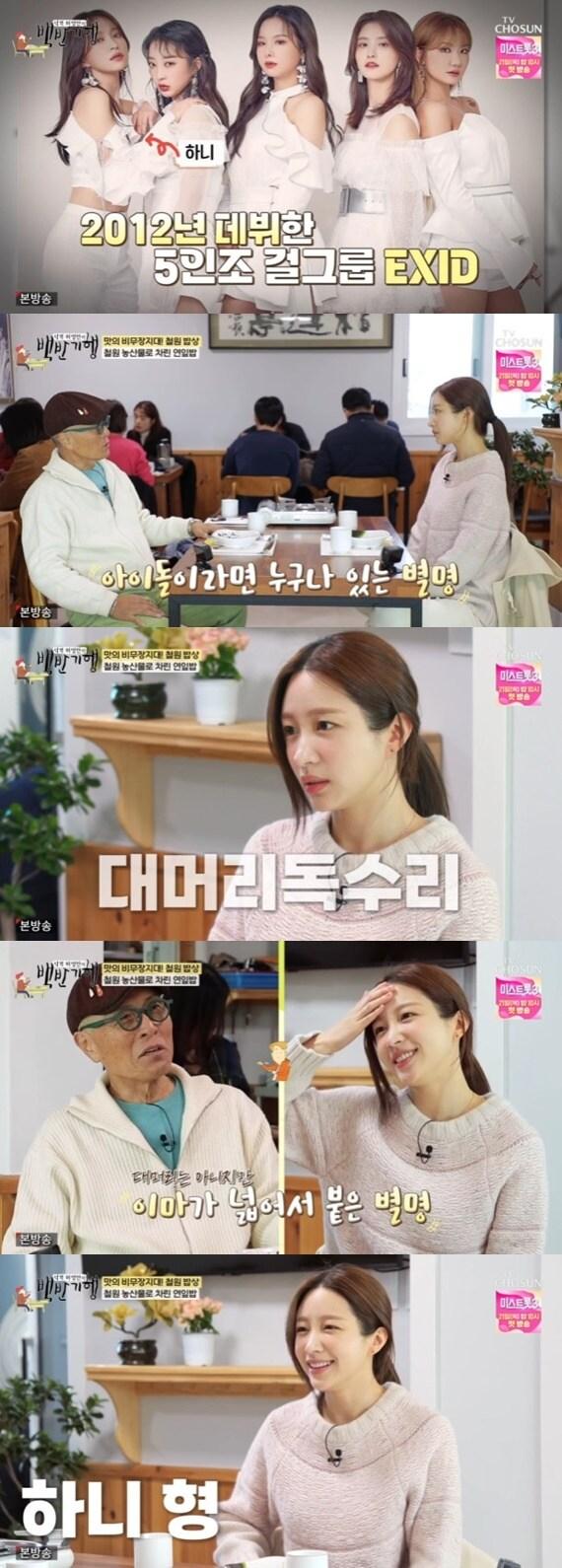 본문 이미지 - TV조선 '식객 허영만의 백반기행' 캡처