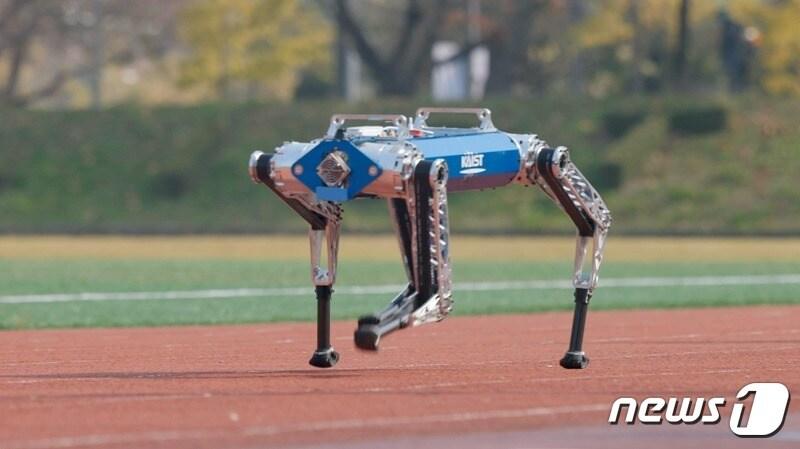 본문 이미지 - 사족 로봇 ‘하운드’가 육상 트랙 위에서 100m 달리기를 하고 있다.(KAIST 제공)/뉴스1