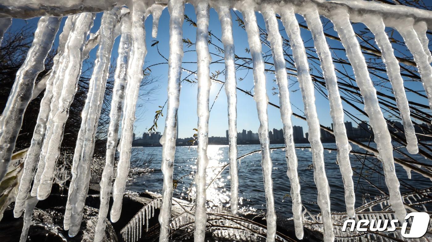 서울의 아침 기온이 영하 12도로 올겨울 들어 가장 추운 날씨를 기록한 17일 서울 광진구 뚝섬한강공원 주변 나뭇가지에 고드름이 매달려 있다. 2023.12.17/뉴스1 ⓒ News1 허경 기자