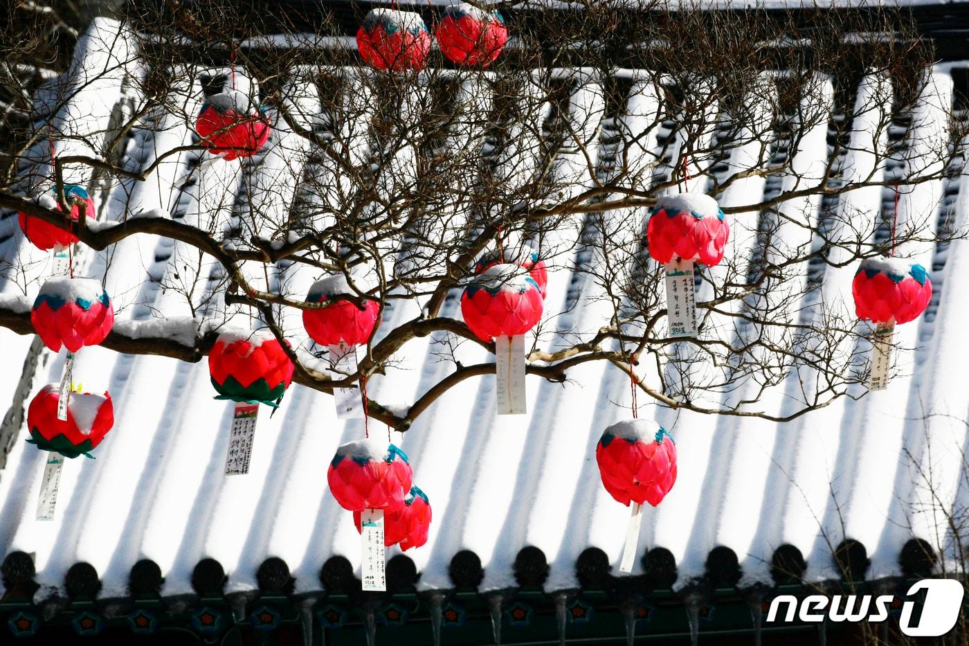 본문 이미지 - 광주전남에 내려진 대설주의보가 17일 오전 10시를 기해 해제된 가운데 화순 만연사에 설치된 소원등 위로 밤새 내린 눈이 소복이 쌓여 있다. 2023.12.17/뉴스1 ⓒ News1 김태성 기자
