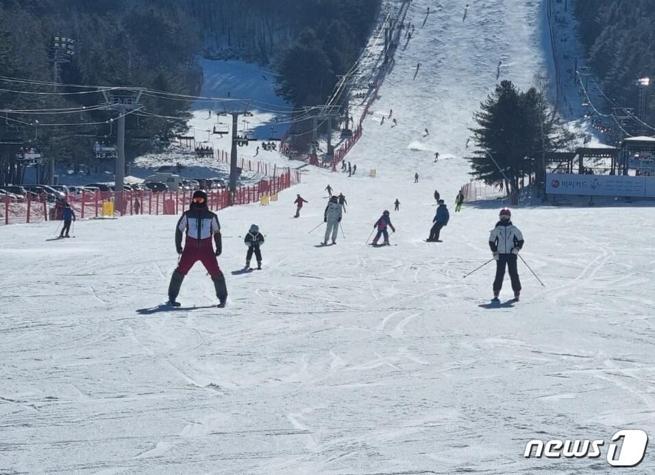 본문 이미지 - 강원 평창 용평리조트 스키장 자료사진. ⓒ News1 