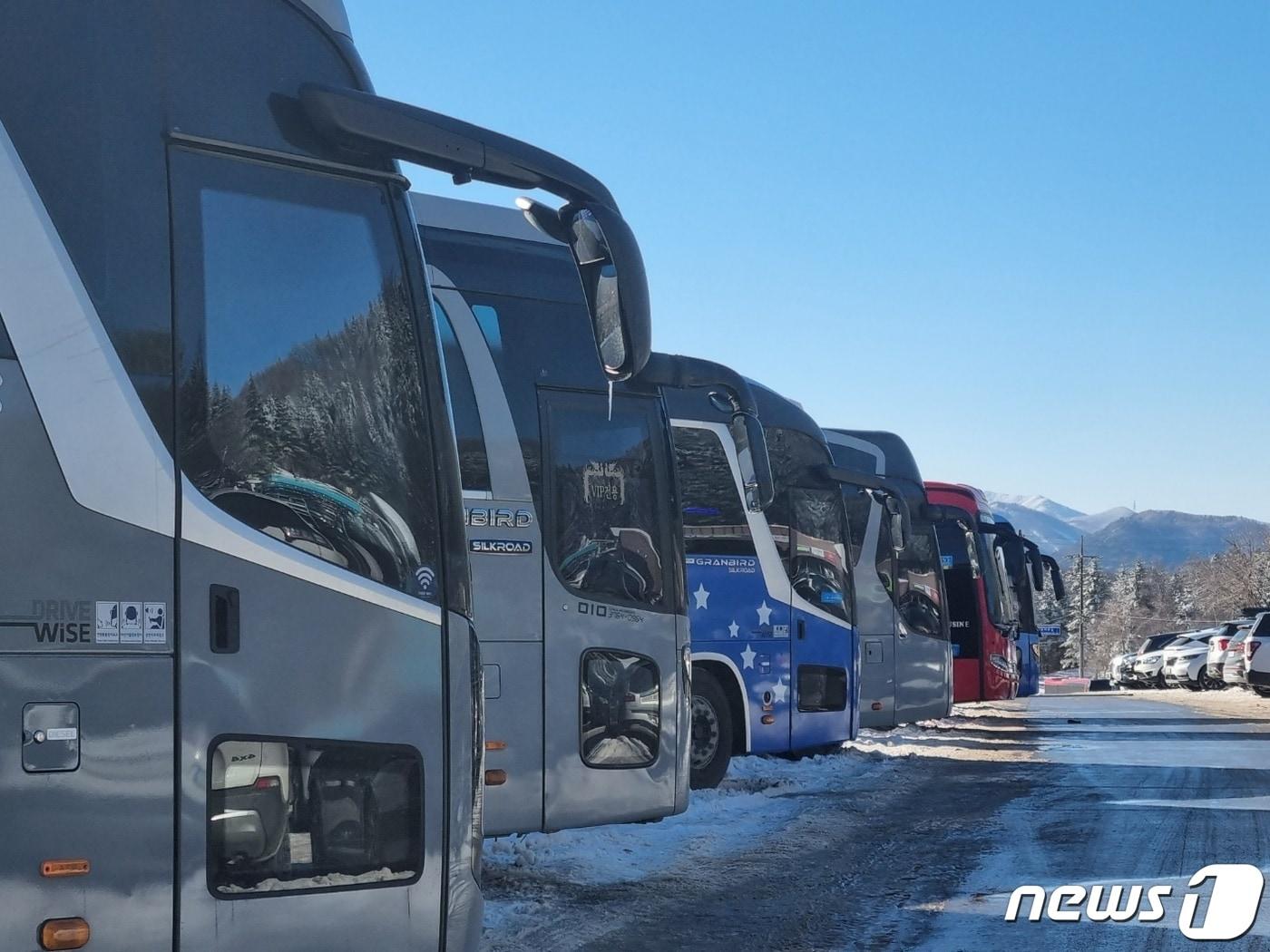 본문 이미지 - 강원 산간을 중심으로 한파경보가 내려진 17일 평창군 대관령면 대관령마을휴게소 주차장에 겨울 손님을 싣고 온 전세버스가 가득하다.2023.12.17/뉴스1 ⓒ News1 윤왕근 기자