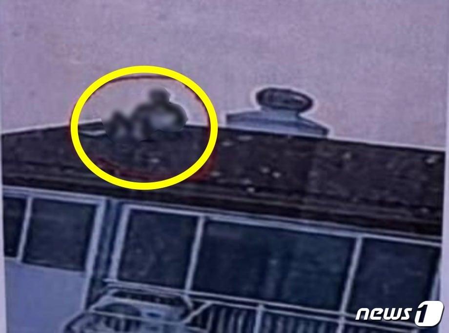 본문 이미지 - (온라인 커뮤니티 갈무리)