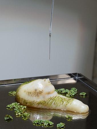 본문 이미지 - [sangheeut] 추수 Tzusoo_Installation view (3)