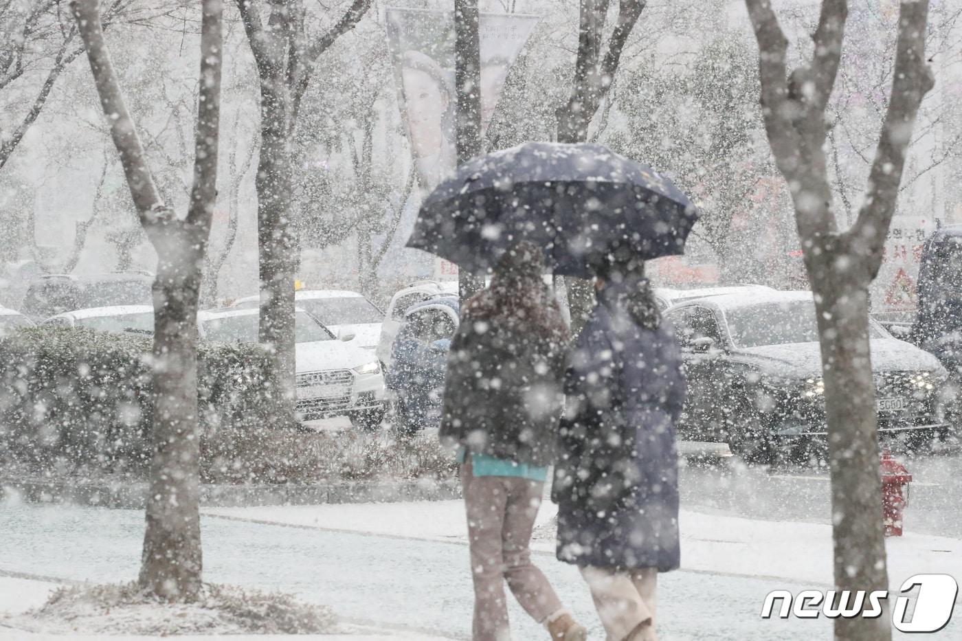 본문 이미지 - 광주와 전남에 많은 눈이 예보된 20일 광주 서구 상무지구에 시민들이 눈을 맞으며 걸어가고 있다.2023.12.20/뉴스1 ⓒ News1 김태성 기자