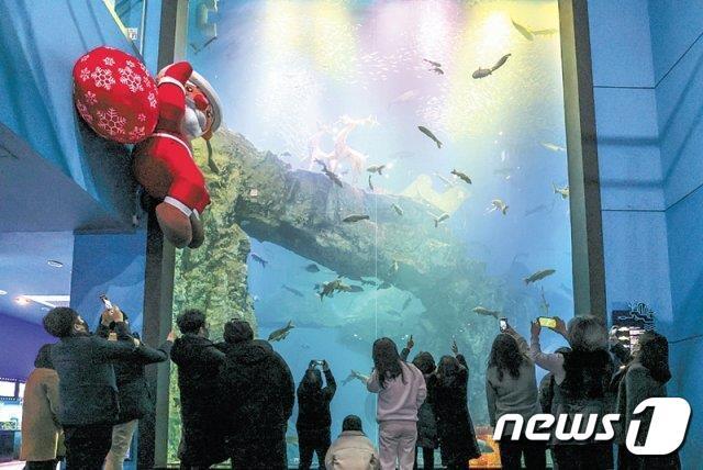 본문 이미지 - 단양 다누리아쿠아리움내에 대형 산타 조형물이 설치돼 관람객들의 눈길을 끌고 있다. 