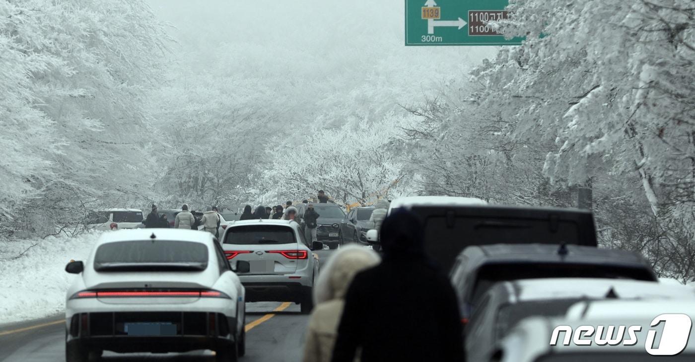 본문 이미지 - 한라산 1100고지 휴게소 인근 도로(자료사진)/뉴스1