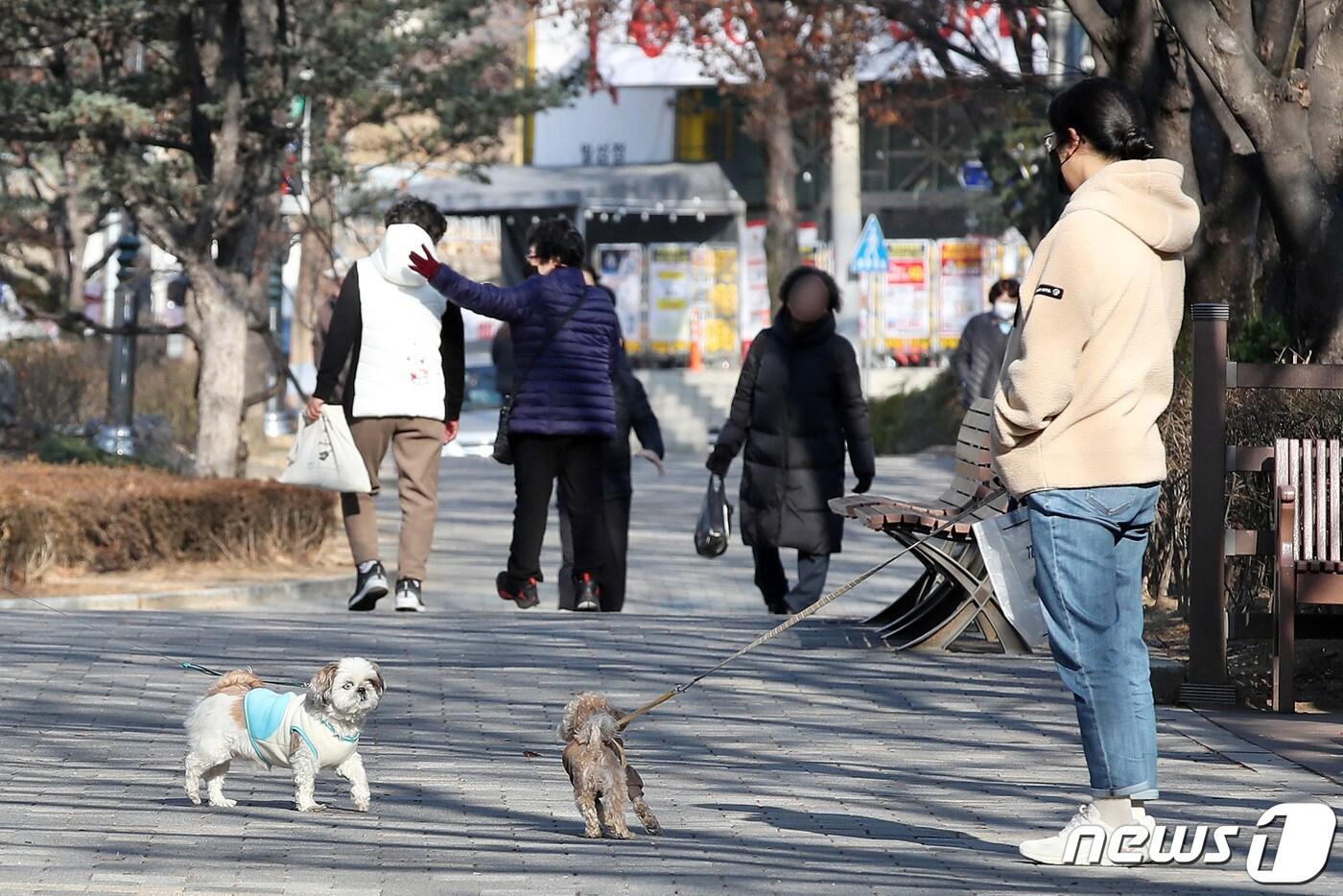 본문 이미지 - 한파가 주춤하고 포근한 날씨가 이어진 26일 대구 달서구 월성공원에서 시민들이 반려견과 함께 산책하고 있다. 2023.12.26/뉴스1 ⓒ News1 공정식 기자
