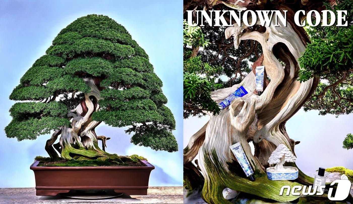  에버랜드 엔노운코드 이미지(삼성물산 리조트부문 제공)