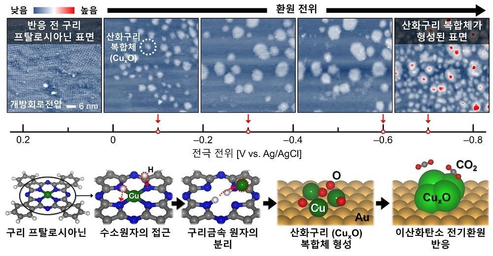 본문 이미지 - 전기화학 주사 터널링 현미경을 활용한 이산화탄소 전기환원 관찰 및 구리 프탈로시아닌 유기 분자의 산화구리 복합체 형성과정.(KAIST 제공)/뉴스1