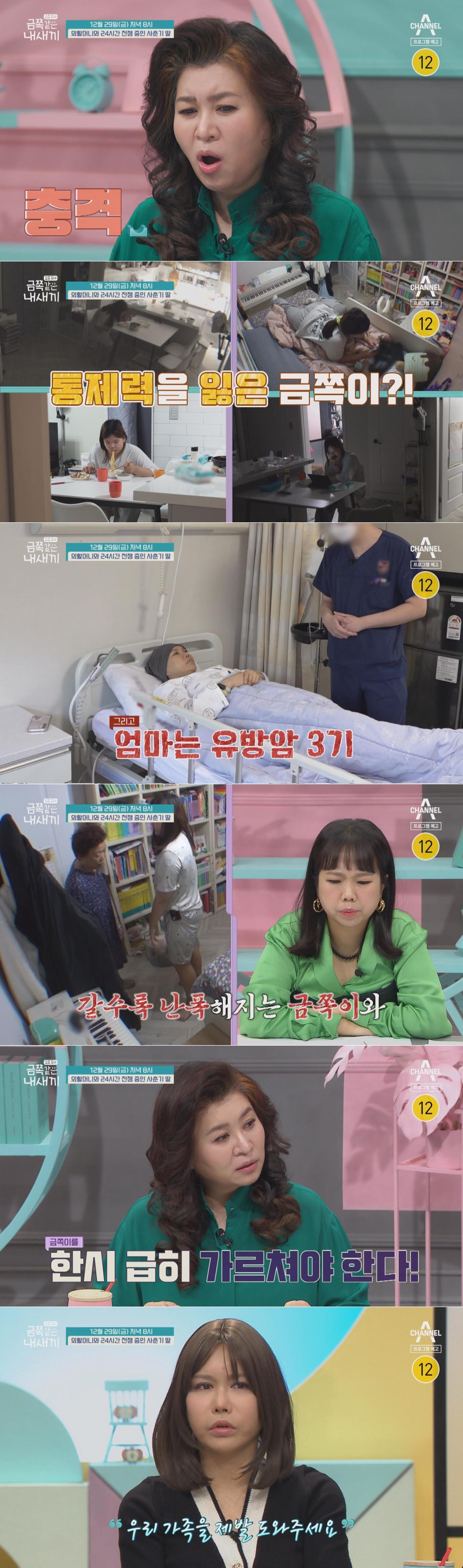 본문 이미지 - 채널A