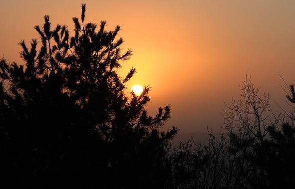 본문 이미지 - 언덕처럼 가볍고 빠르게 다녀오는 일출 산행지 ‘파주 심학산’에서의 일출 모습.(경기관광공사 제공)/