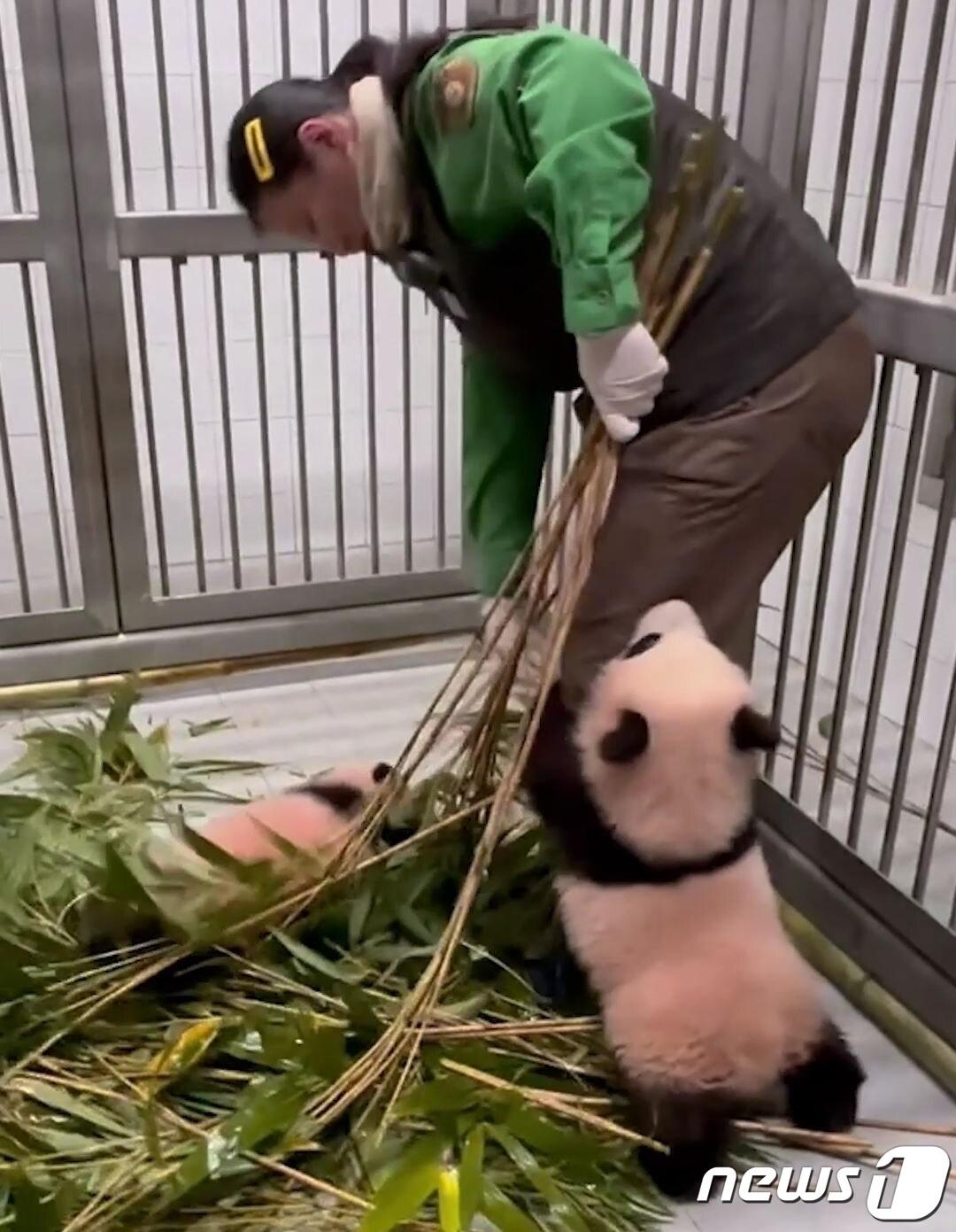 본문 이미지 - (에버랜드 제공)