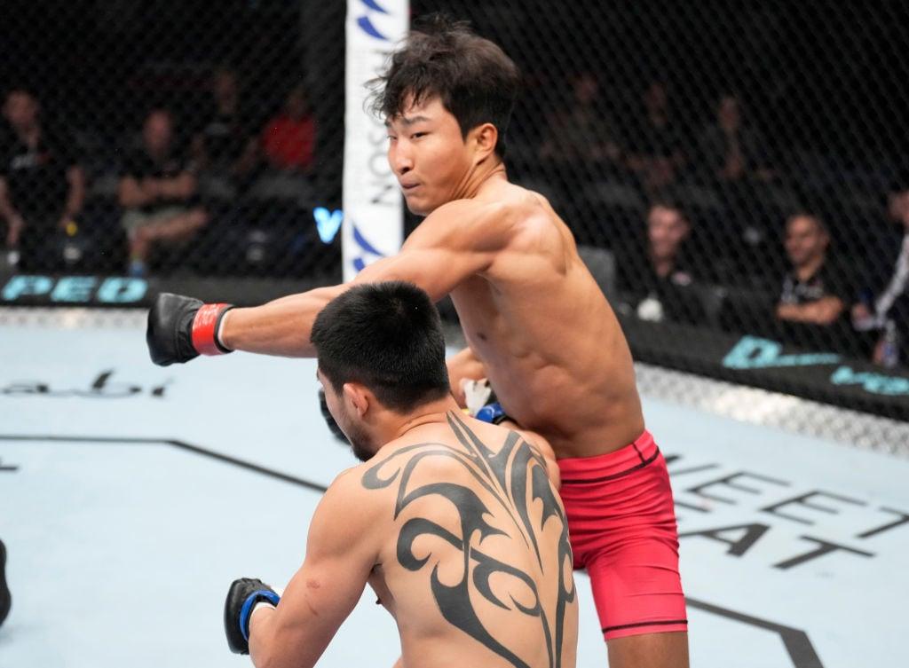 본문 이미지 - 경기 중인 이정영의 모습.(UFC 제공)