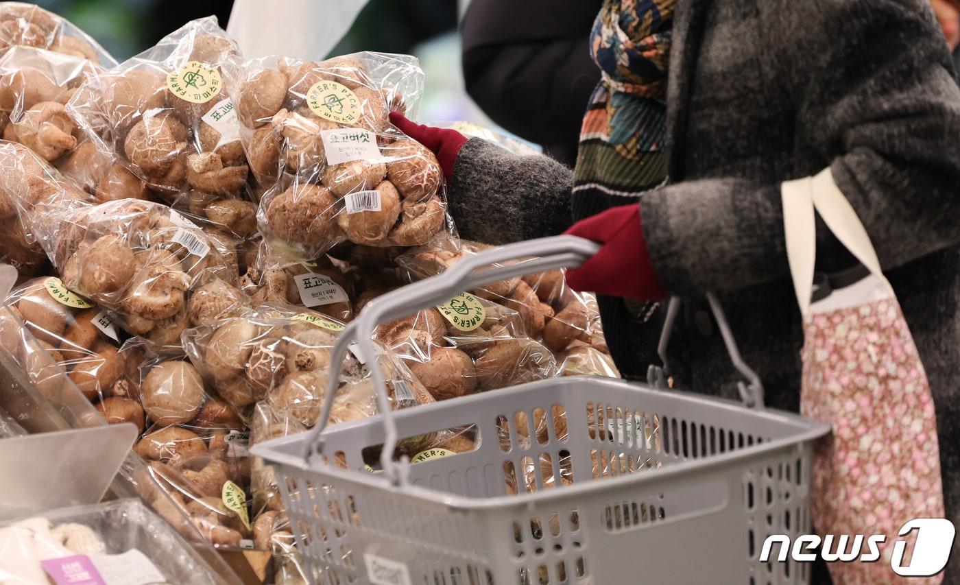 (자료사진) /뉴스1