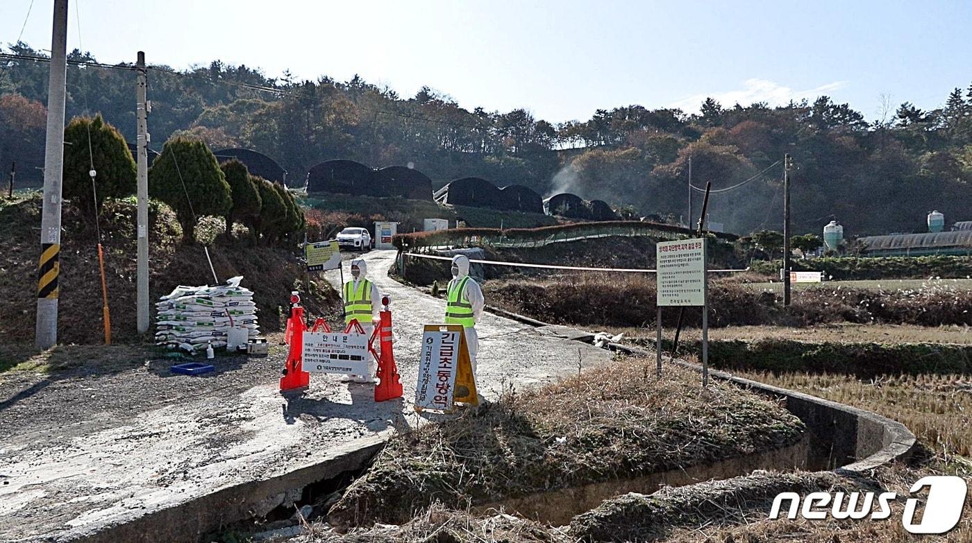본문 이미지 - 5일 고병원성 조류인플루엔자(AI)가 발생한 전남 고흥의 한 육용오리 농장에서 방역 활동이 진행되고 있다.(고흥군 제공)2023.12.5/뉴스1 