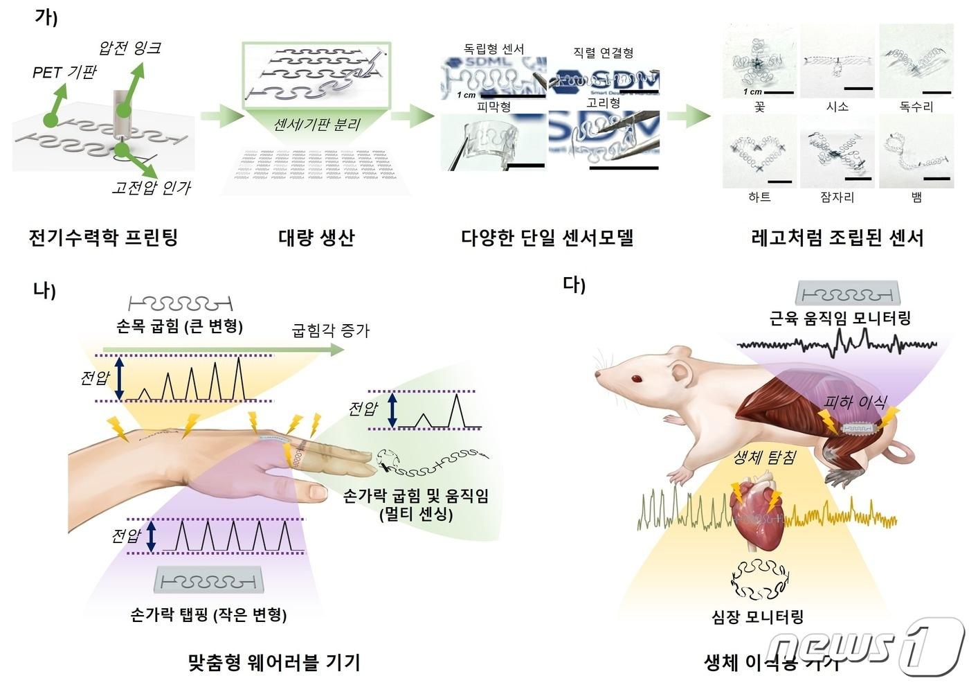 본문 이미지 - 투명 변위 센서 제작과정(가), 웨어러블 앱(나), 생체이식용 기기 앱(다). (단국대-차의과대 제공)/뉴스1
