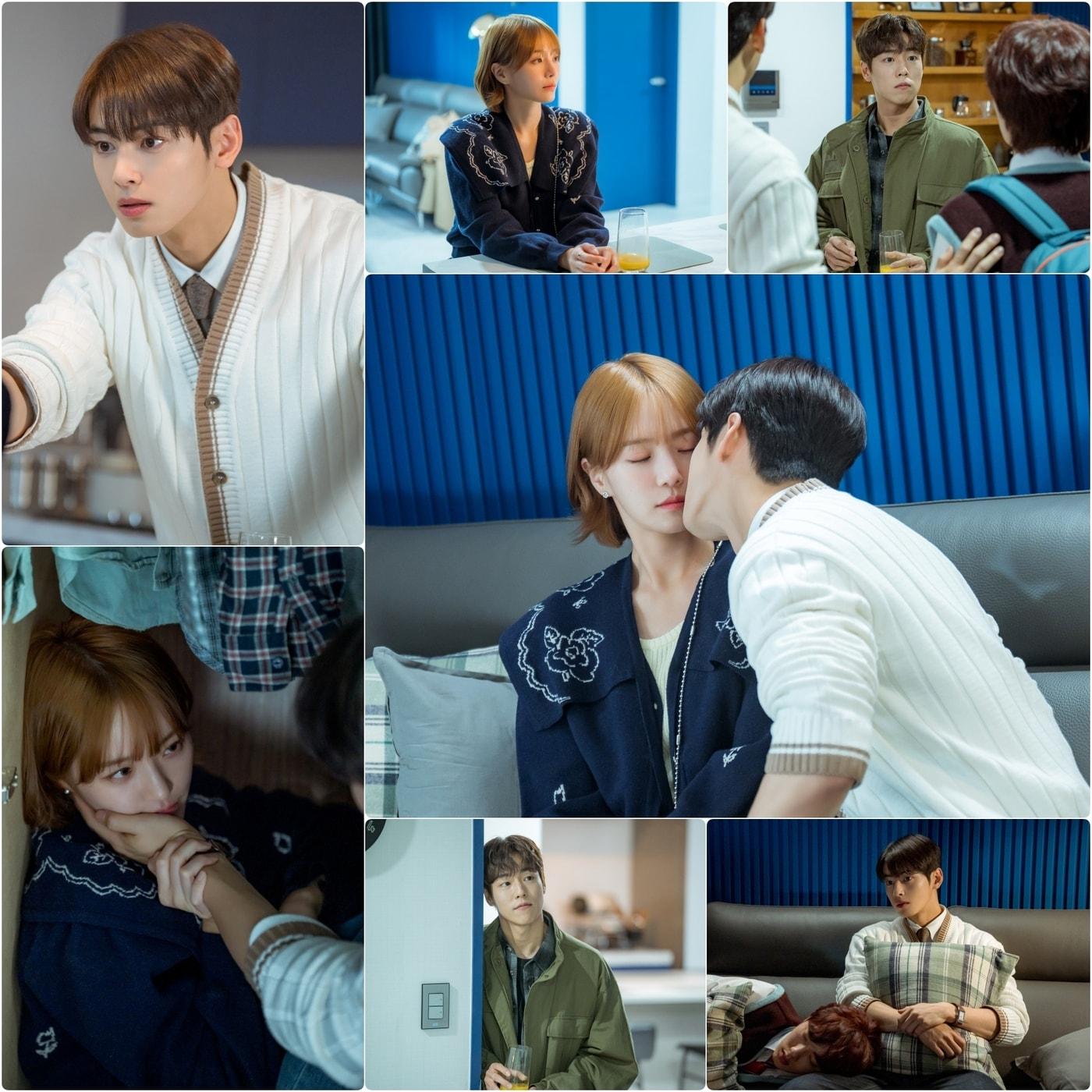 본문 이미지 - 사진=MBC '오늘도 사랑스럽개'