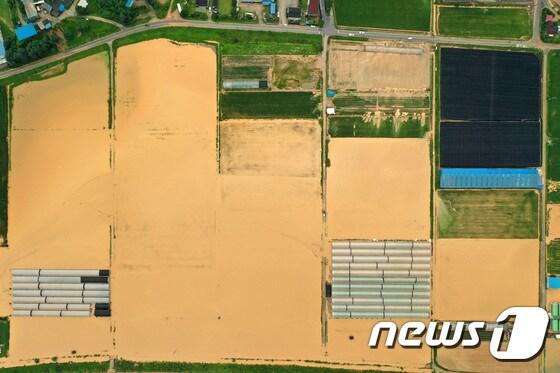 본문 이미지 - 경기도가 올해 대설에 대비해 온실·비닐하우스의 풍수해보험 가입을 당부하고 나섰다. 사진은 2020년 8월2일 경기 안성시 일죽면 일대 논과 비닐하우스가 폭우로 인해 잠겨 있는 모습. 2020.8.2/뉴스1