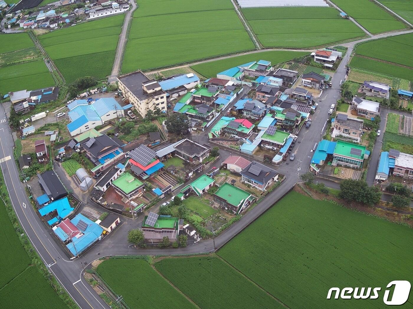 본문 이미지 - 집마다 태양광 설비를 설치한 충북 진천군 진천읍 하덕마을.(진천군 제공)/뉴스1