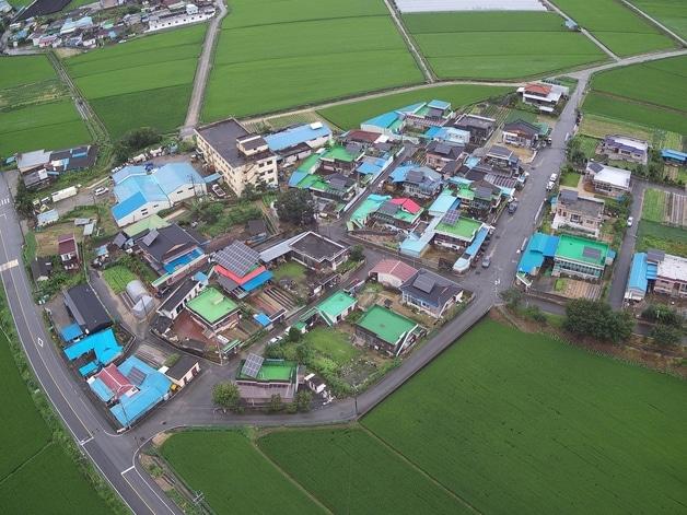 본문 이미지 - 자료사진/뉴스1