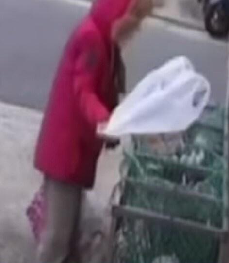 본문 이미지 - (JTBC '사건반장' 갈무리)