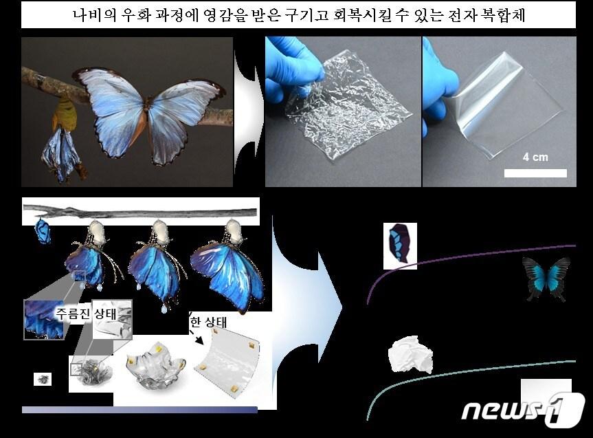 본문 이미지 - 제작된 전자 장치.(아주대 제공)/뉴스1