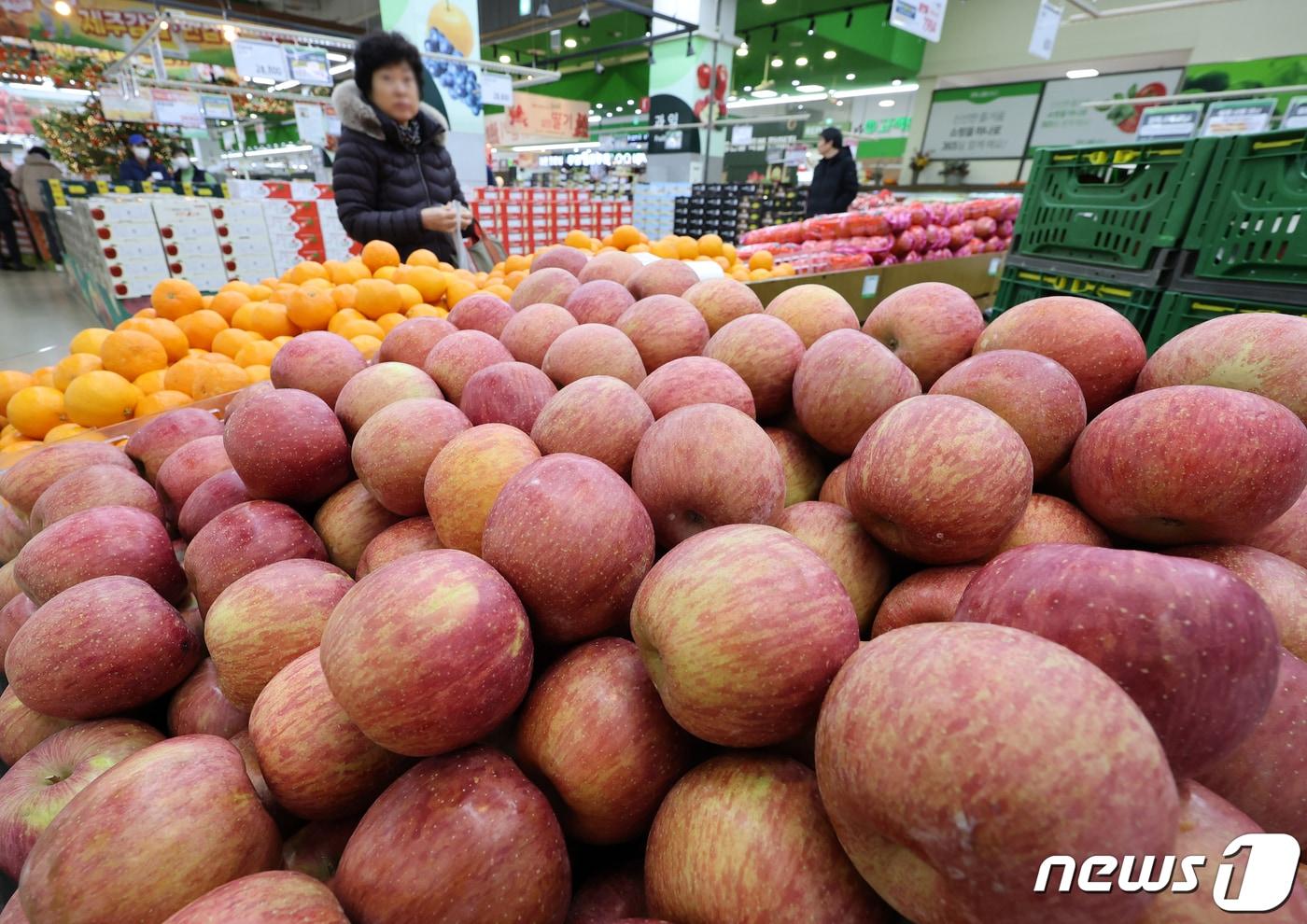 본문 이미지 - 겨울철 대표 간식인 사과의 가격이 전년 대비 오름세를 보이고 있는 가운데 지난 7일 서울 서초구 농협 하나로마트 양재점에 사과가 진열되어 있다. 2023.12.7/뉴스1 ⓒ News1 김진환 기자