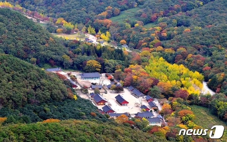 본문 이미지 -  전북 고창군이 '2023년 고창방문의 해' 성공을 기원하며 선운사 관람료를 받지 않기로 했다. 선운사 전경(고창군 제공)2023.2.1/뉴스1