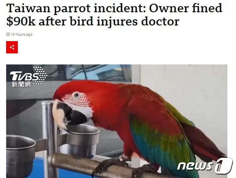 본문 이미지 - 해당 기사 - BBC 갈무리