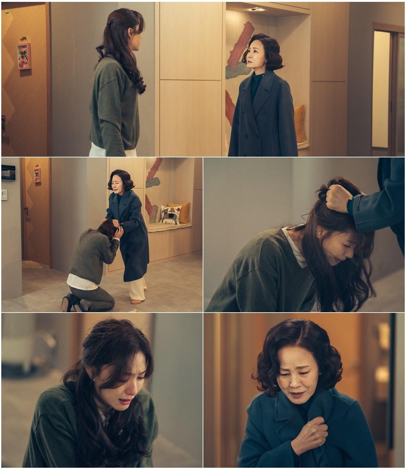 본문 이미지 - TV조선