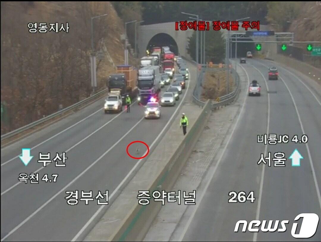 본문 이미지 - 9일 오후 5시5분쯤 유기견 한 마리가 경부고속도로에 출몰해 경찰과 한국도로공사 관계자가 구출하고 있는 모습.(한국도로공사 대전충남본부 제공) /2023.02.10./뉴스1