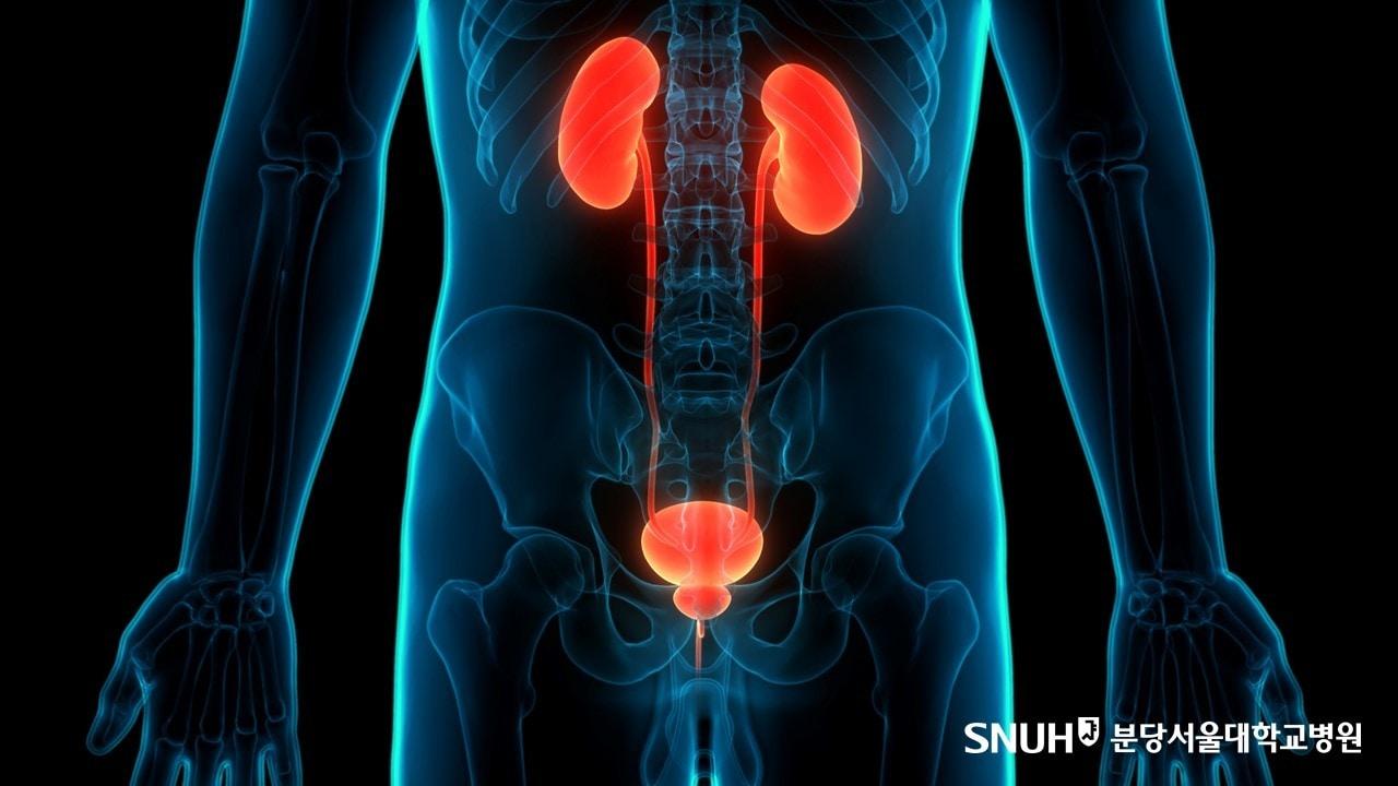 본문 이미지 - (분당서울대병원 제공)