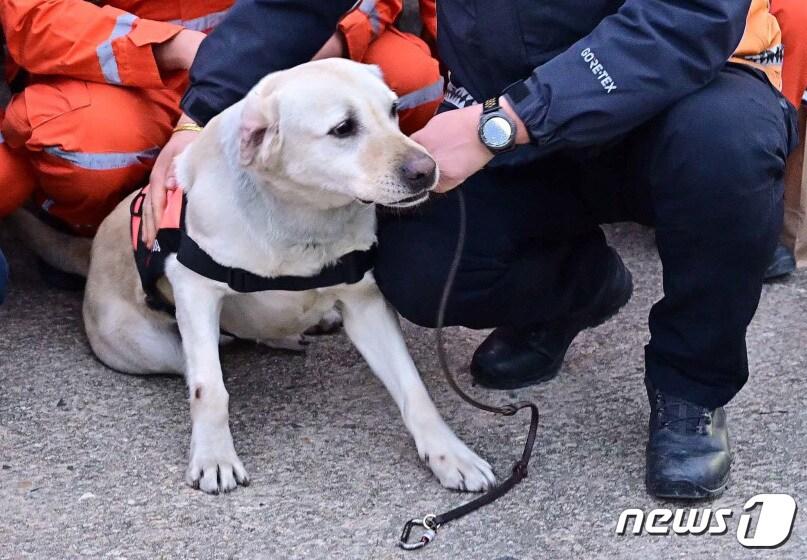 본문 이미지 - (사진은 기사 내용과 무관함) / 뉴스1 ⓒ News1