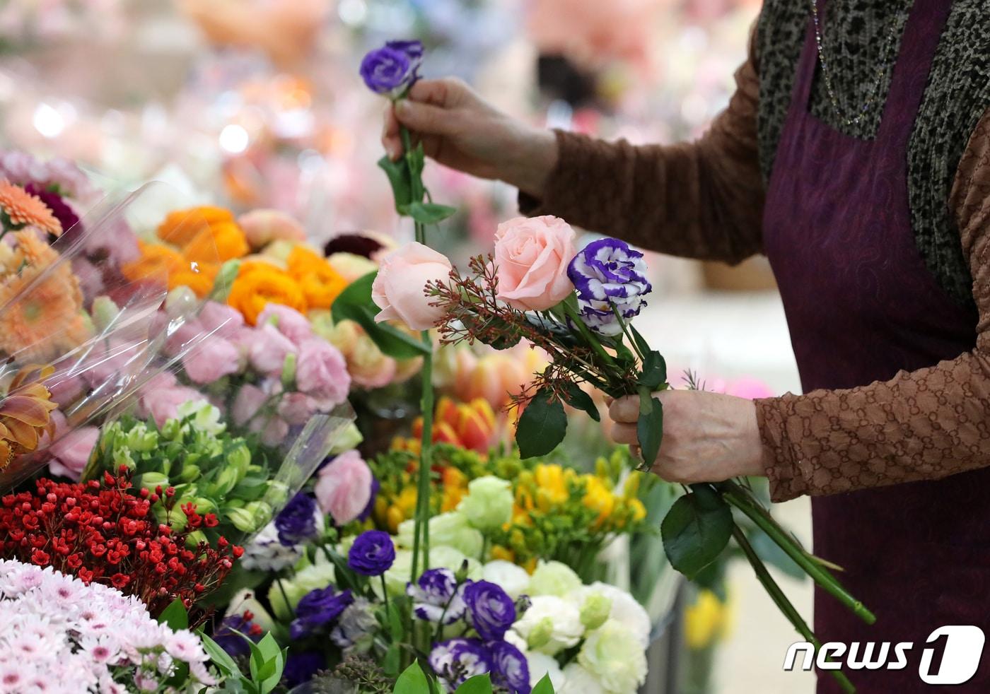 본문 이미지 - (사진은 기사 내용과 무관함) / 뉴스1 ⓒ News1