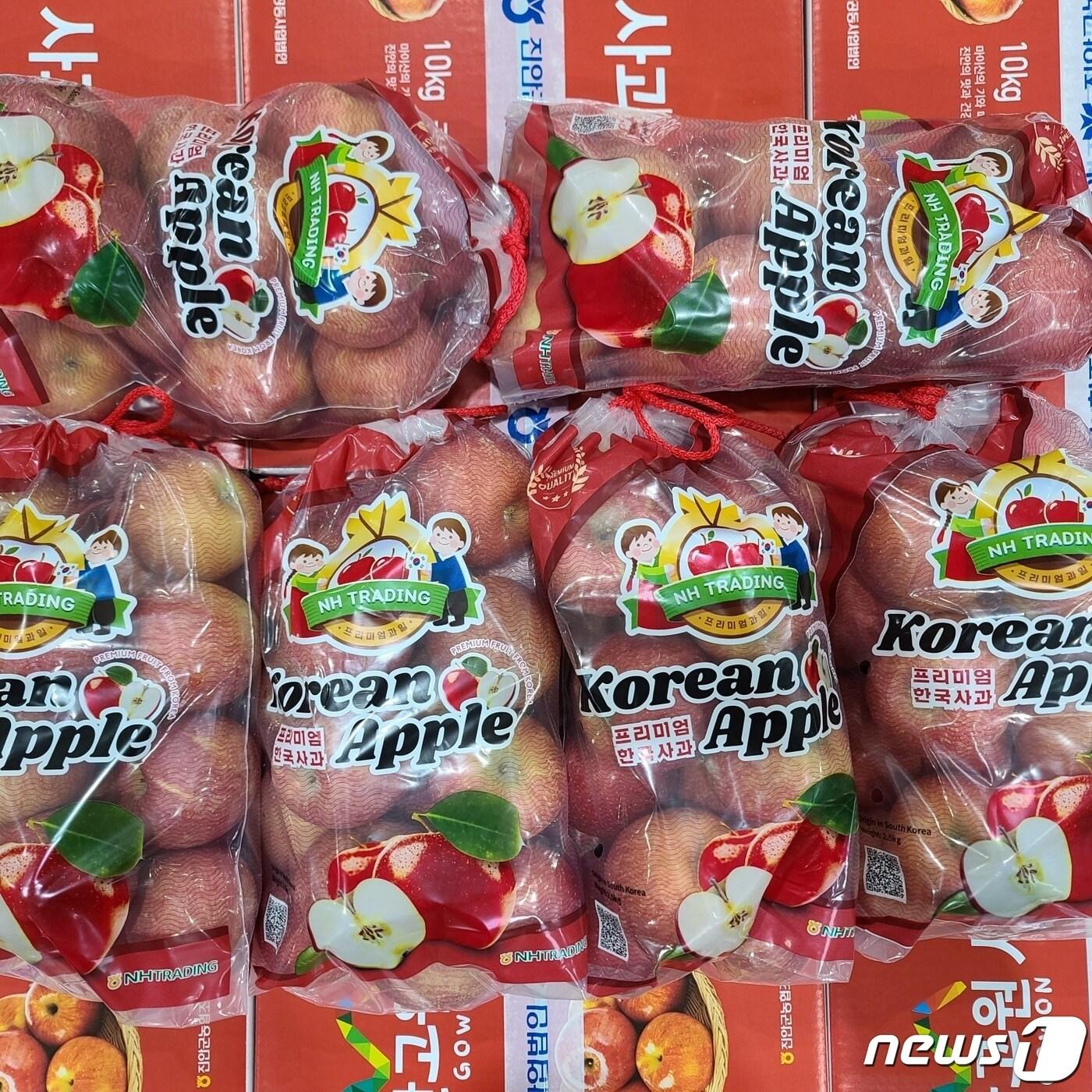 본문 이미지 - 21일 전북 진안군은 21일 전북농협이 주관하고 진안‧무주‧장수조합공동사업법인이 참여하는 수출 판촉행사를 위해 ‘진안고원 부사 사과’ 선적식을 가졌다.(진안군제공)2023.2.21/뉴스1